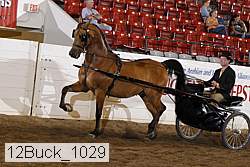 12buck_1029 proof