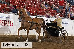 12buck_1030 proof
