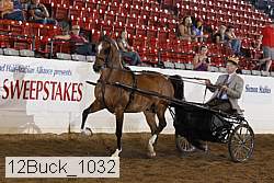 12buck_1032 proof