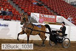 12buck_1036 proof