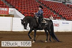 12buck_1056 proof