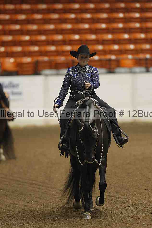 Proof 12buck_1058