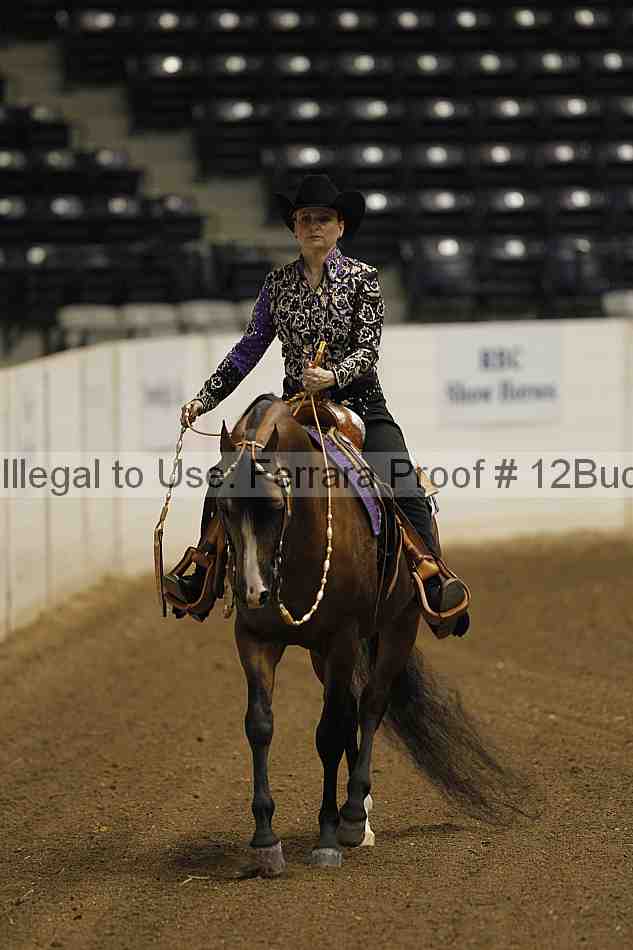 Proof 12buck_1059