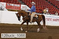 12buck_1066 proof