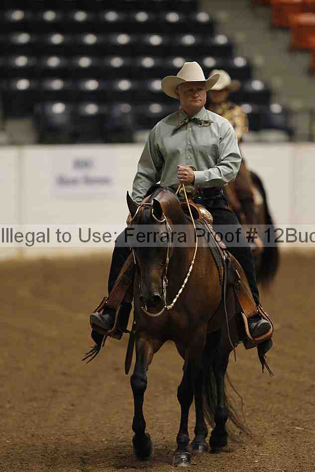 Proof 12buck_1068