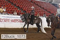 12buck_1073 proof