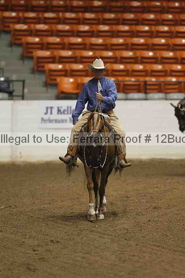 Proof 12buck_1084