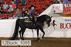 12buck_1085 proof
