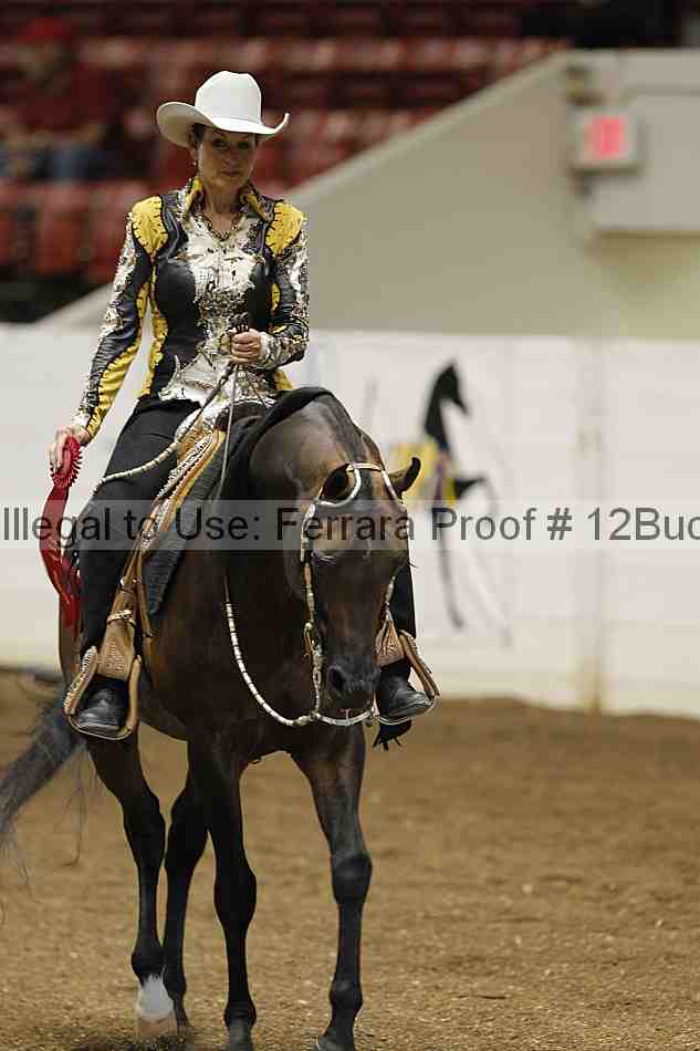 Proof 12buck_1090