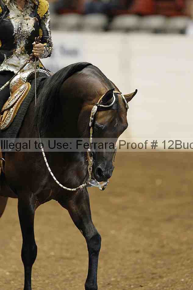 Proof 12buck_1091