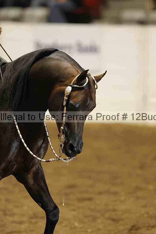 Proof 12buck_1092