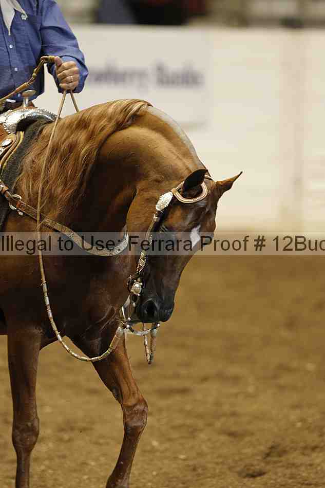 Proof 12buck_1093