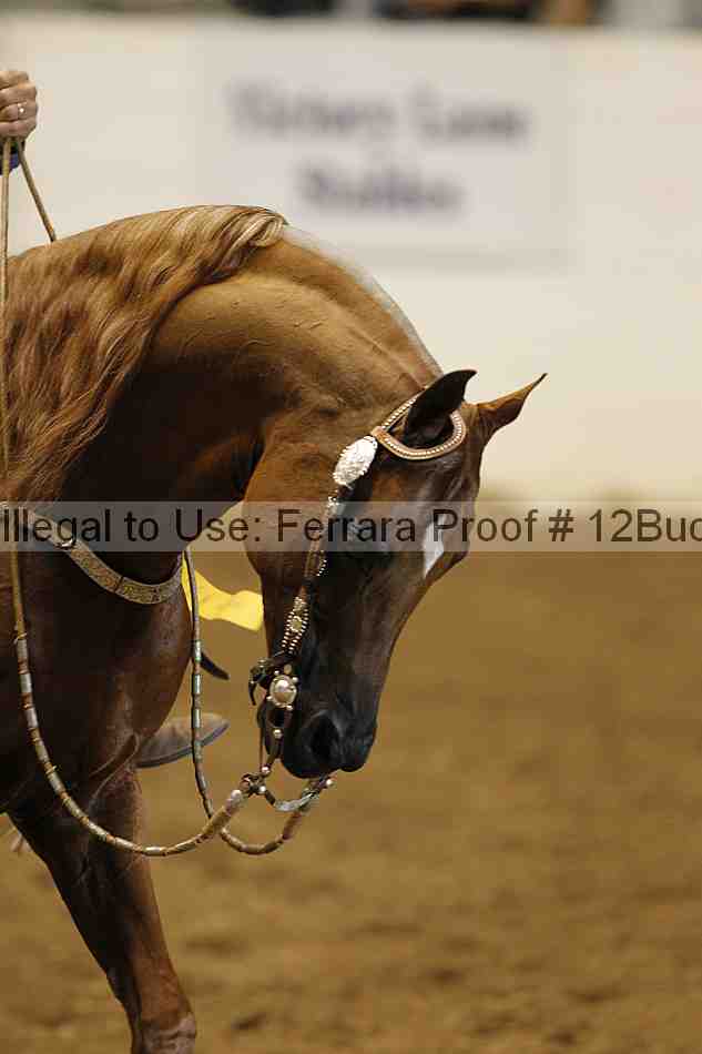 Proof 12buck_1094