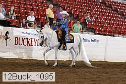 12buck_1095 proof
