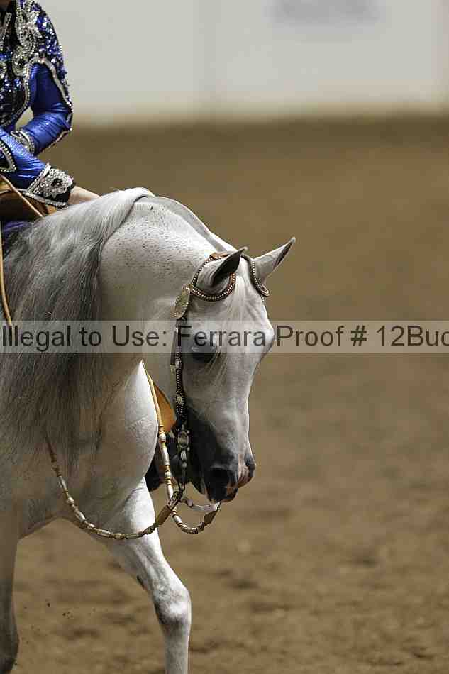 Proof 12buck_1099