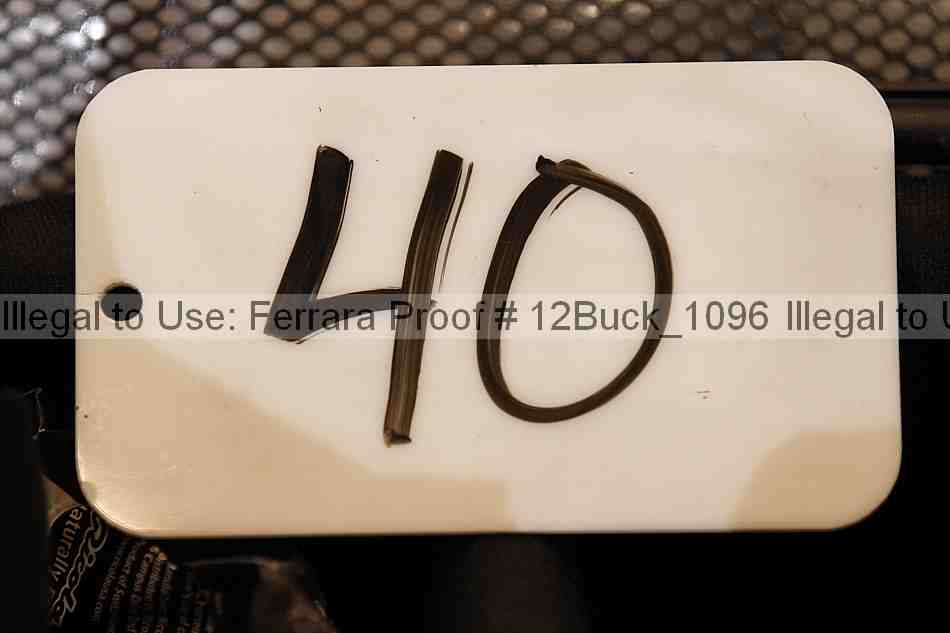 Proof 12buck_1096