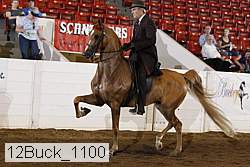 12buck_1100 proof