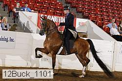 12buck_1101 proof