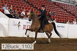 12buck_1102 proof