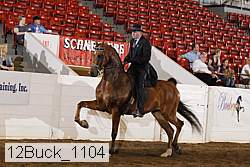12buck_1104 proof
