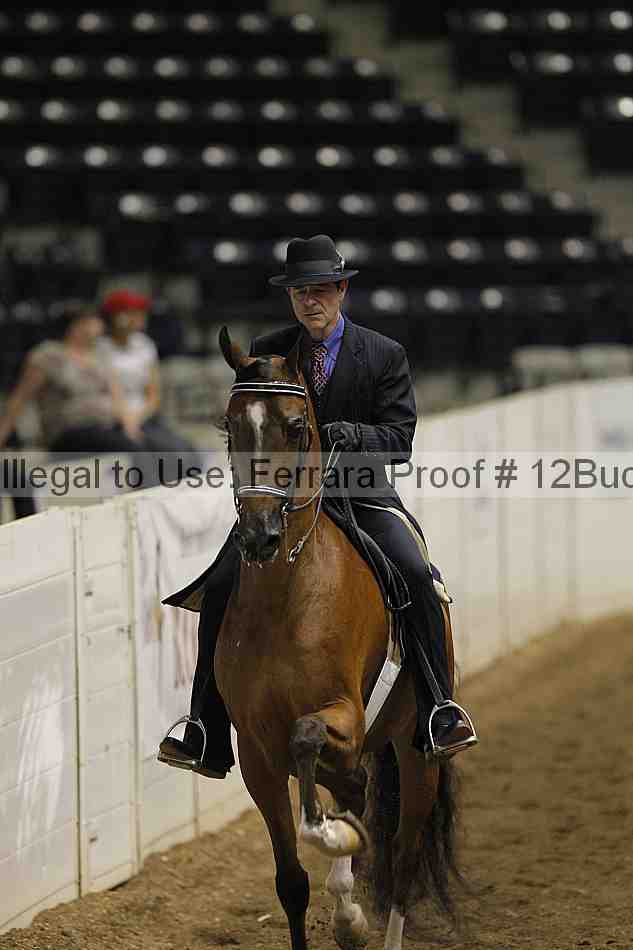 Proof 12buck_1108