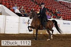 12buck_1112 proof