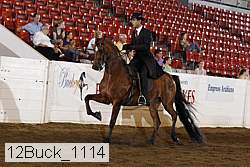 12buck_1114 proof