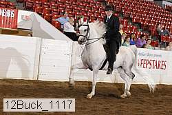 12buck_1117 proof