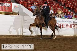 12buck_1120 proof