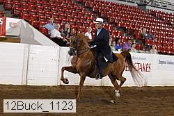 12buck_1123 proof