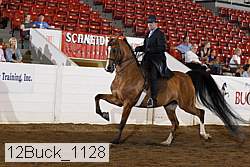 12buck_1128 proof