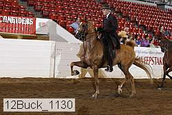 12buck_1130 proof