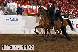 12buck_1132 proof