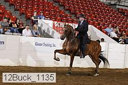 12buck_1135 proof