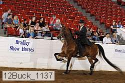 12buck_1137 proof