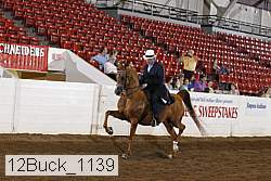 12buck_1139 proof