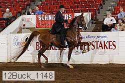 12buck_1148 proof