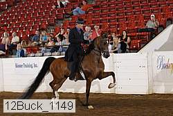 12buck_1149 proof