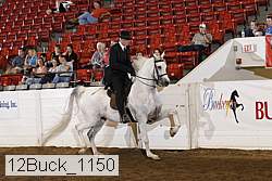 12buck_1150 proof