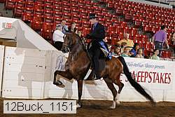 12buck_1151 proof