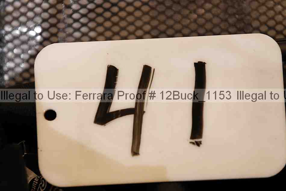Proof 12buck_1153