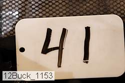 12buck_1153 proof