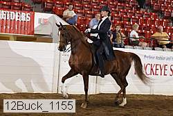 12buck_1155 proof