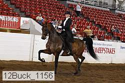 12buck_1156 proof