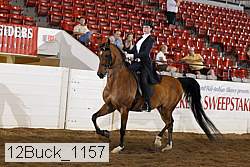 12buck_1157 proof