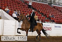 12buck_1158 proof