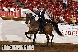 12buck_1163 proof