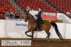 12buck_1165 proof