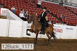 12buck_1171 proof