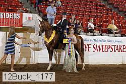 12buck_1177 proof